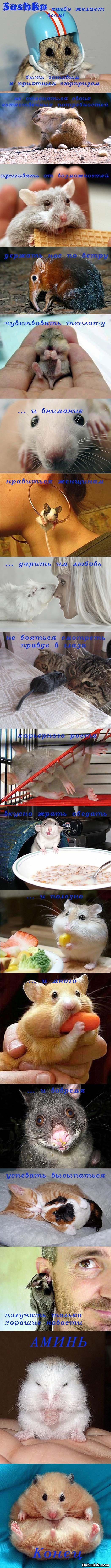 мегапозитив