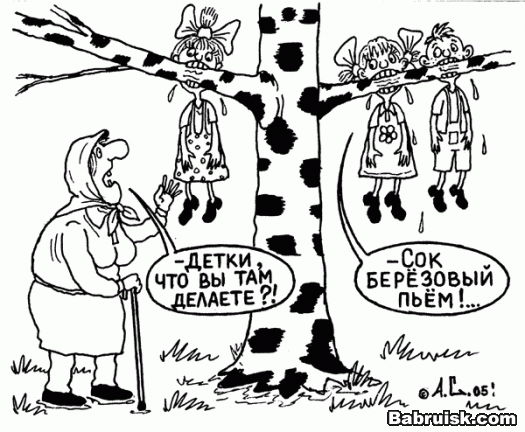 березовый сок. недорого. возможен самовывоз