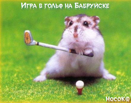 тайгер вудс