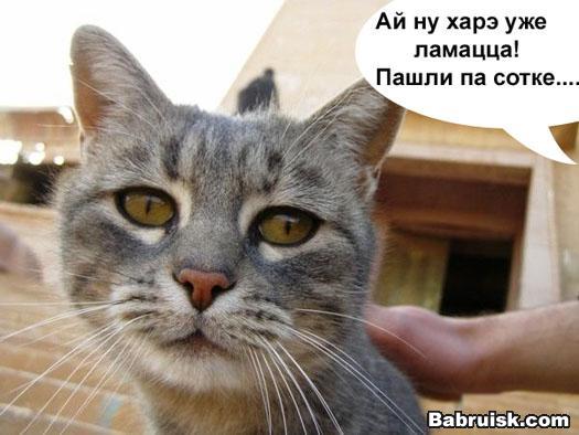 пятнецца