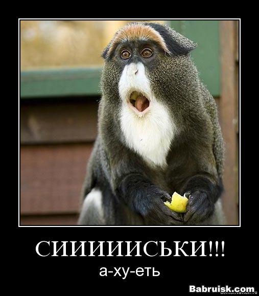 увидел сиськи. и вздрочнул!