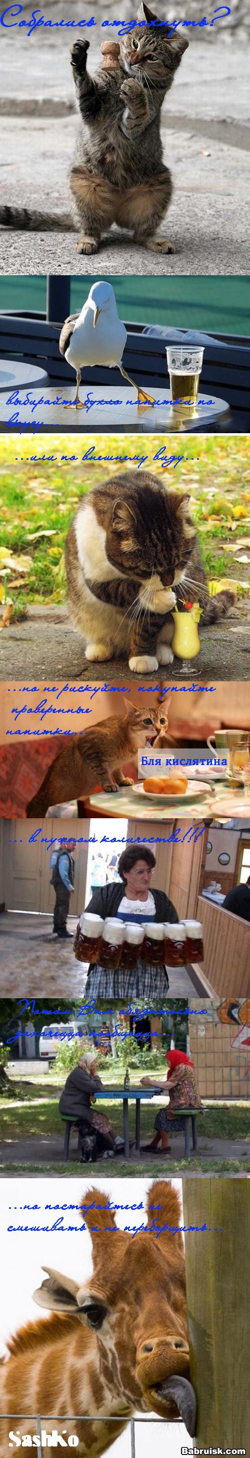 лучший отдых