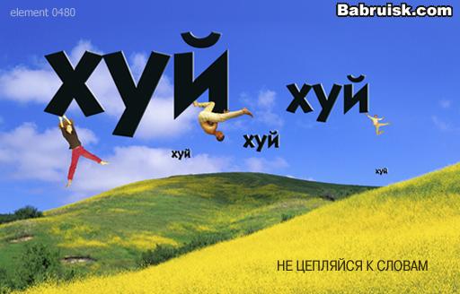 в небе. ой летiли гуси! :)))