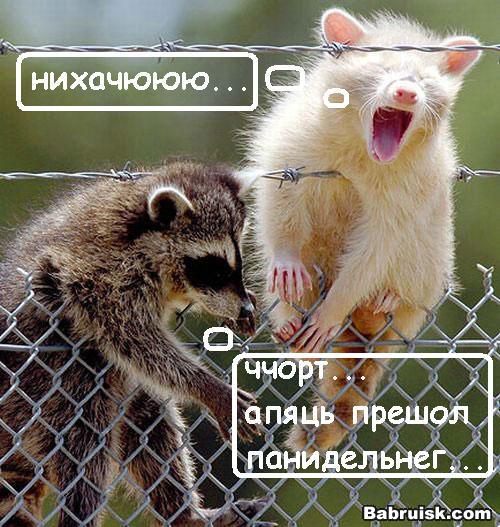 нам бы понедельники взять и отменить