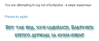 носок