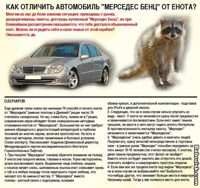енот и мерседес