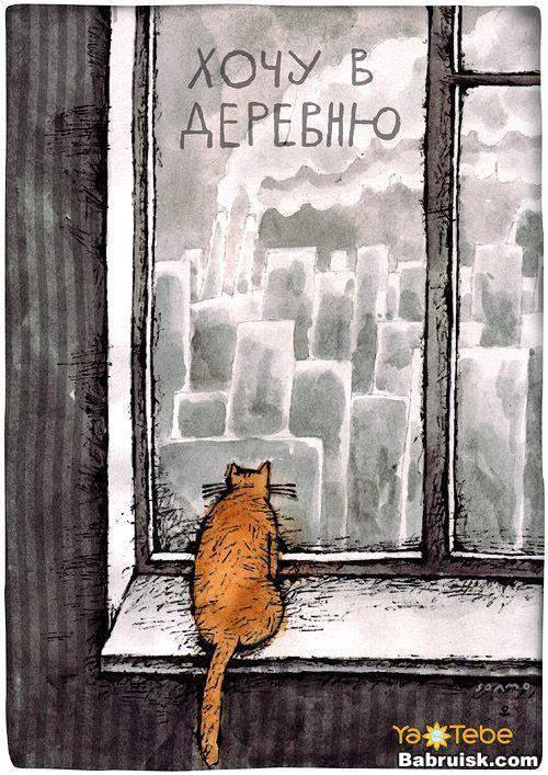 на деревню дедушке