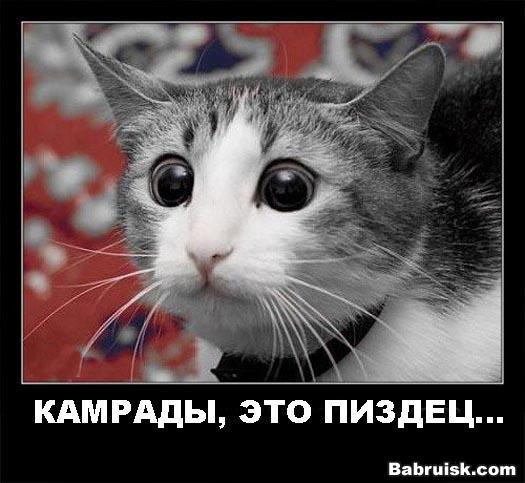 результаты матчей кубка уефа