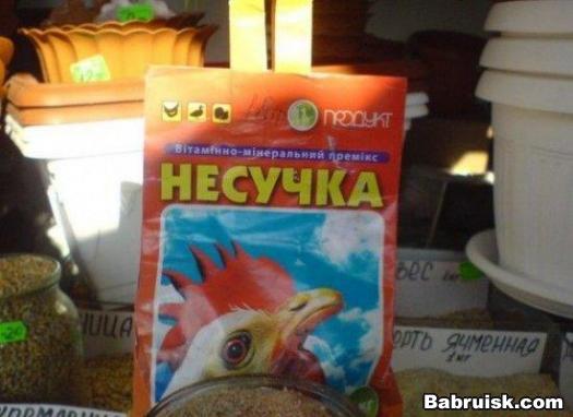 сучка крашэна