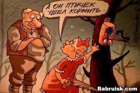 помощь пернатым