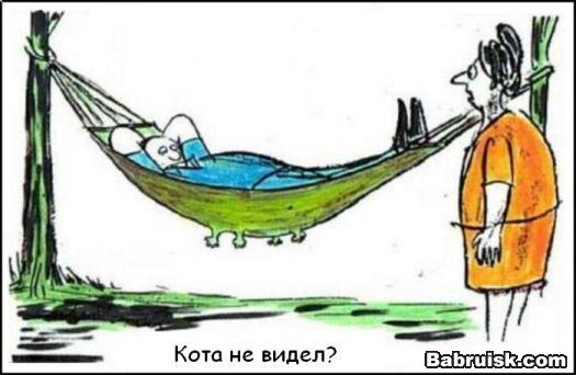 кот в гамаке. но гомосек придавил