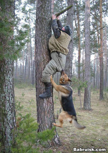 за яйца