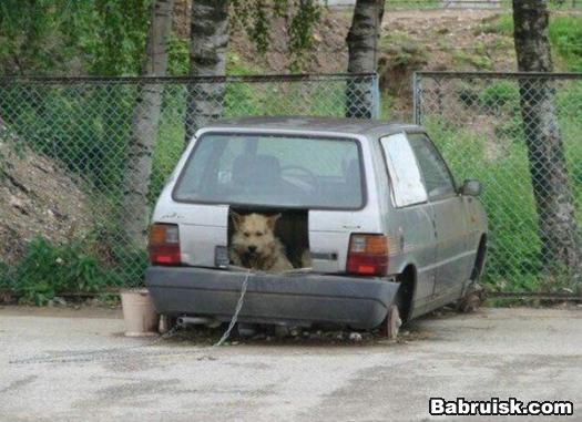 автоконура