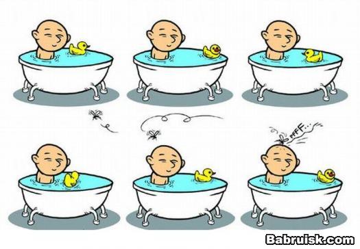 duck1