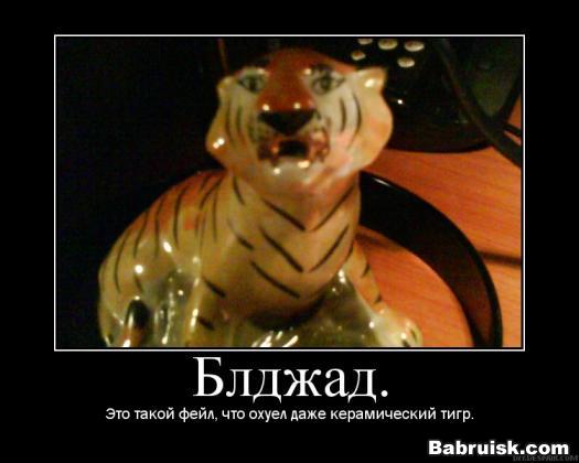 саси блджад