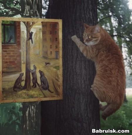 кот на дереве