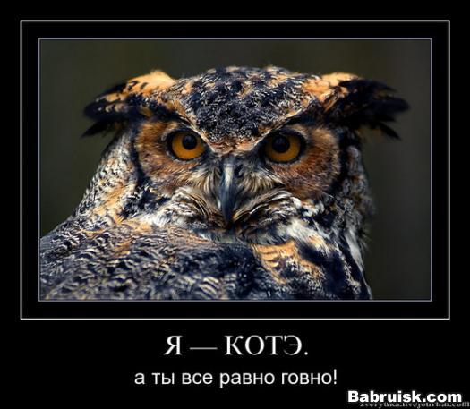 унылое говно
