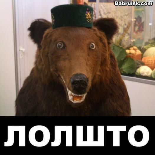 медвед в шапочке
