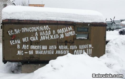 в лесу в очко