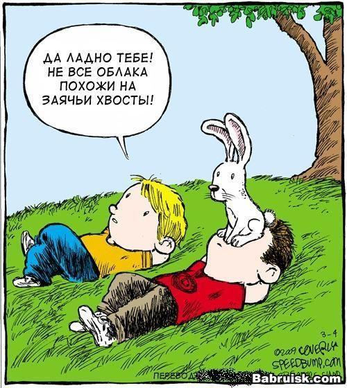 зайцэ