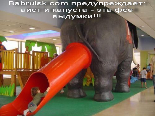 слоны