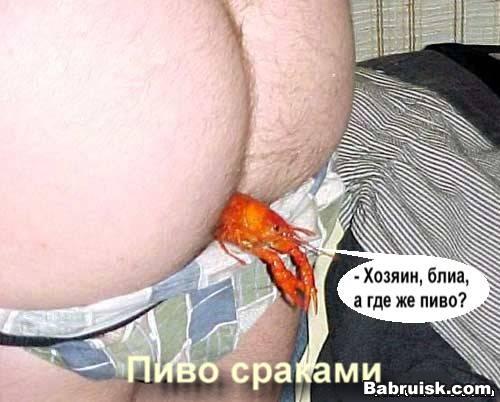 пиво с раками