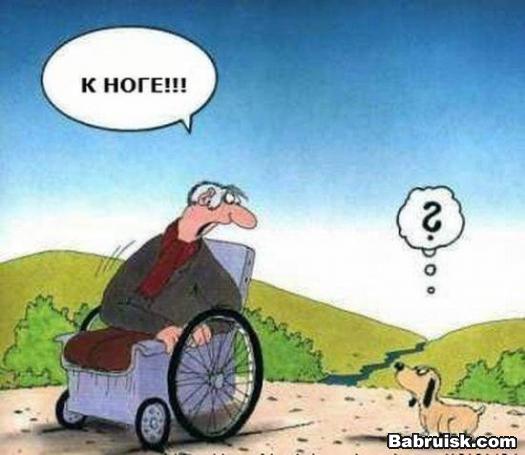 гав