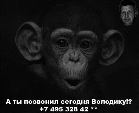 бонизоб