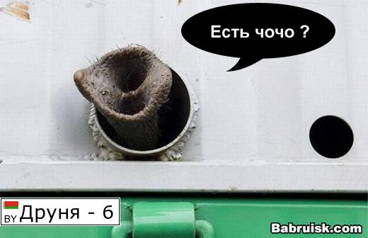 цлон