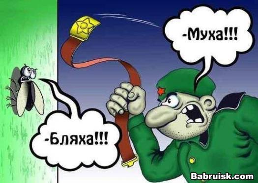 дезинсекция