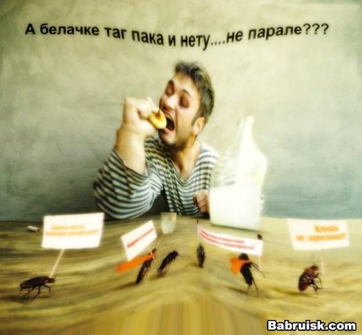 белка не пришла