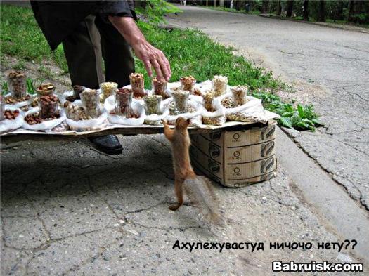 белкоголег