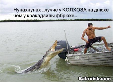 крокодилы на главной