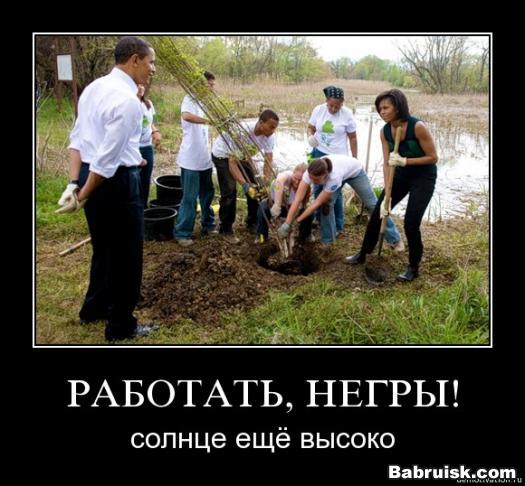 работают негры