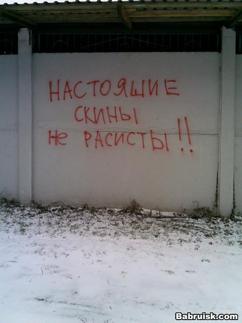 скины и расисты