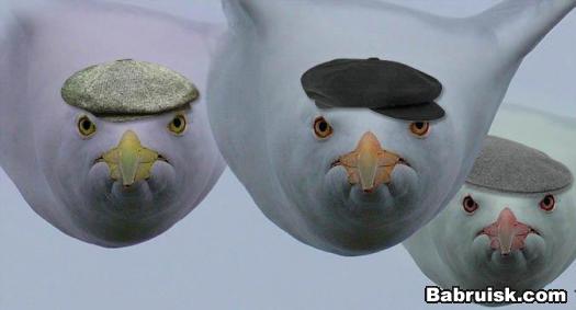 гопники отняли телефон