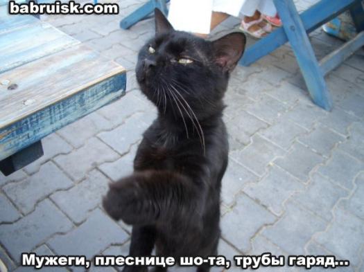 как молоды мы были...