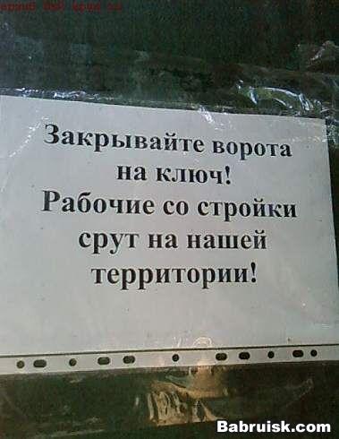 обосрали всю территорию, суки!