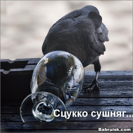 сушняк