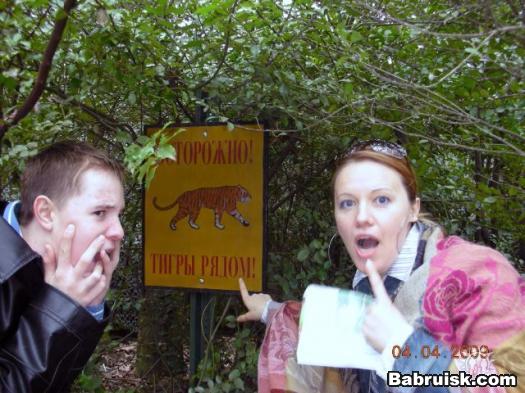 таблички