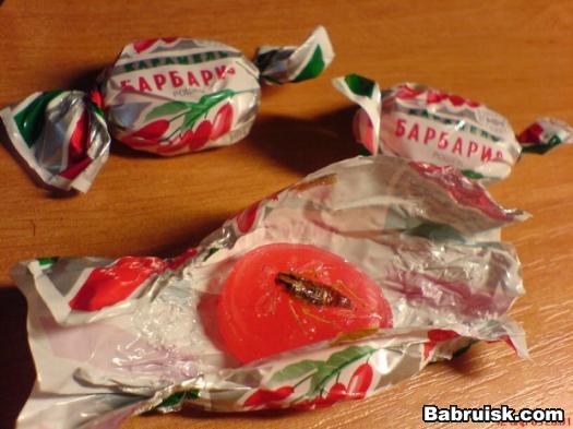 насекомое в конфете