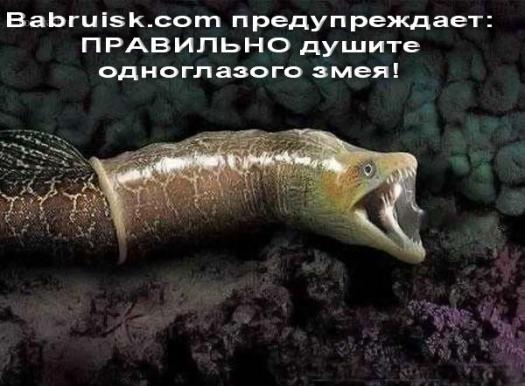 змея в гондоне. презерватив из змеиной кожи. не дрочить!