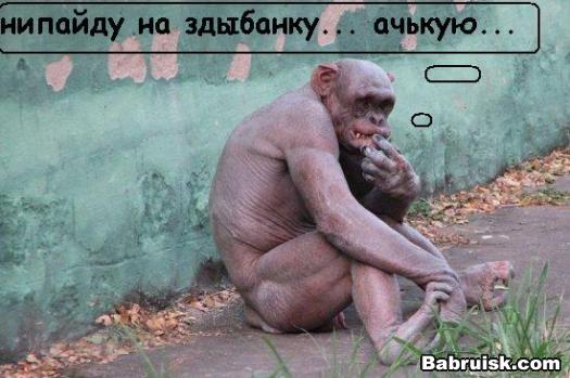 апасаеццо?