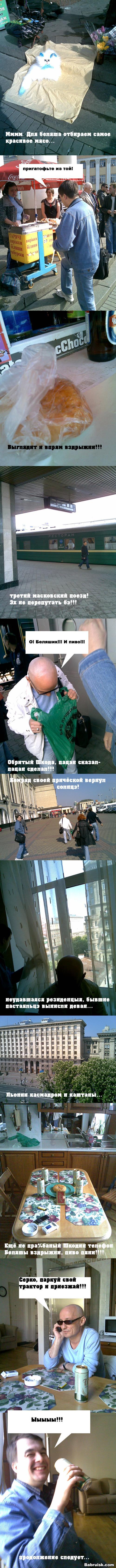 йайцо?)))))))