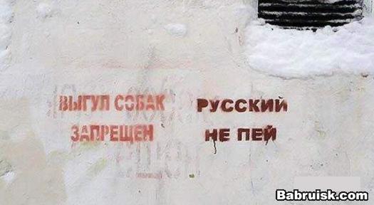 вред пьянства