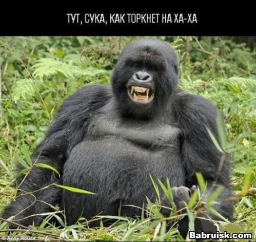в топке