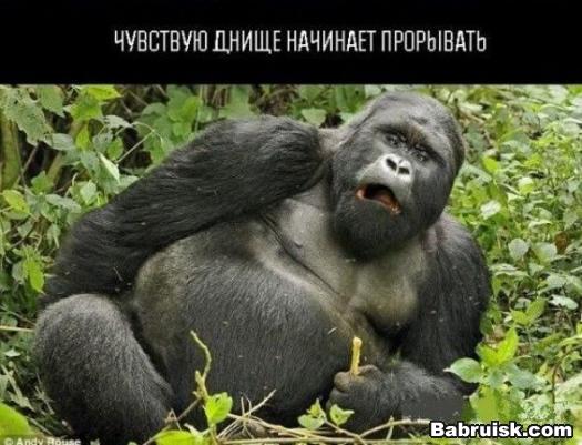 в топке