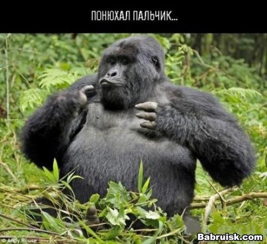 в топке