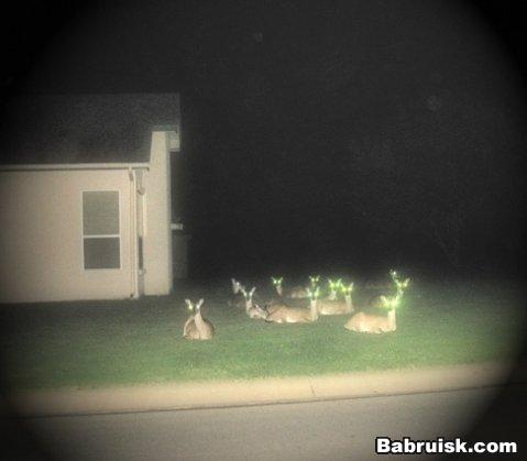 bambyes