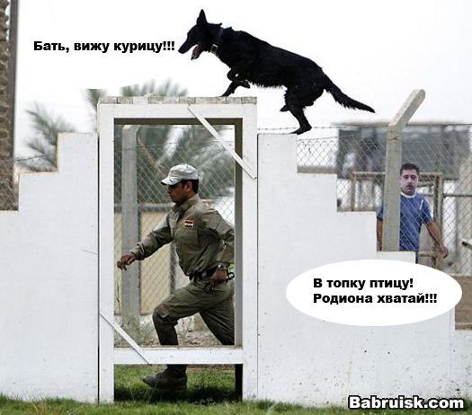под питером